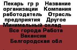 Пекарь– гр/р › Название организации ­ Компания-работодатель › Отрасль предприятия ­ Другое › Минимальный оклад ­ 1 - Все города Работа » Вакансии   . Белгородская обл.